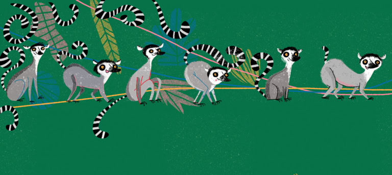 A rövidke gyűrűs farok